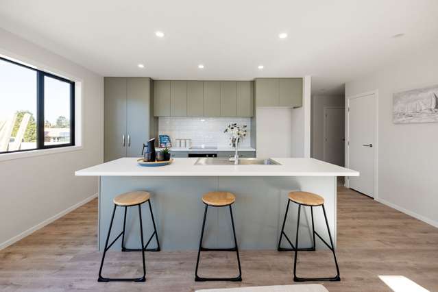 49c Hall Street Kihikihi_1