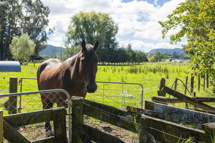 140 Hansen Road Makauri_30