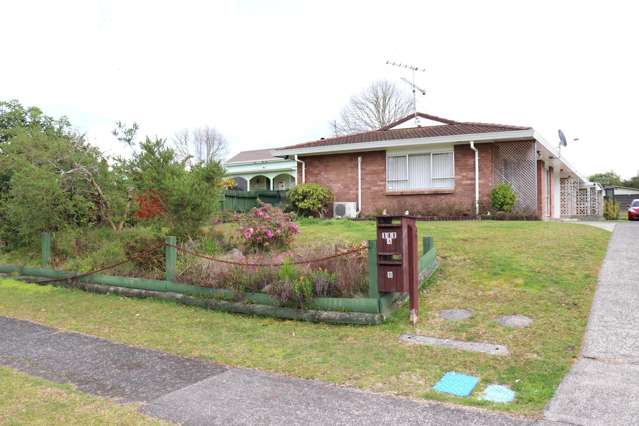 111a Hakanoa Street Huntly_1