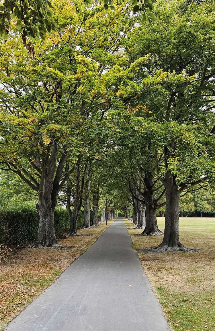 15/27 Harewood Road Papanui_12