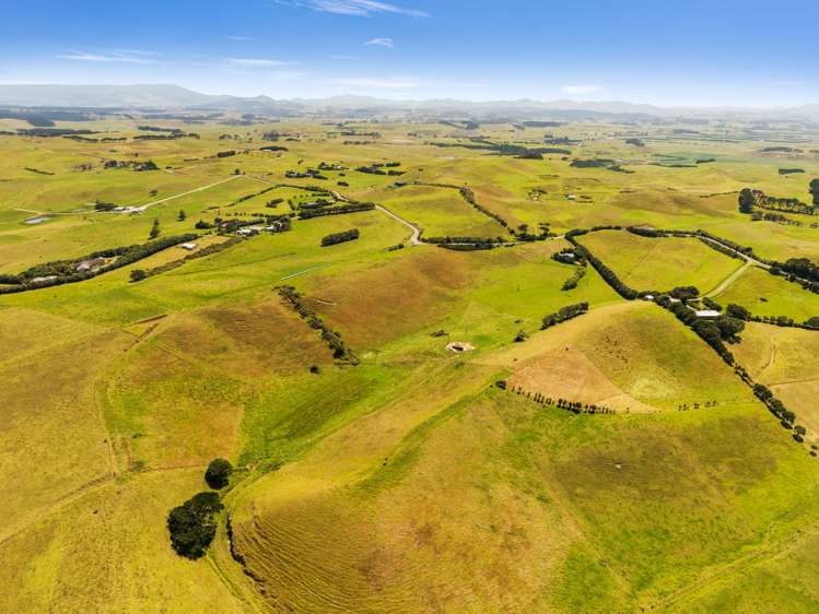Rehutai Road Baylys Beach_4