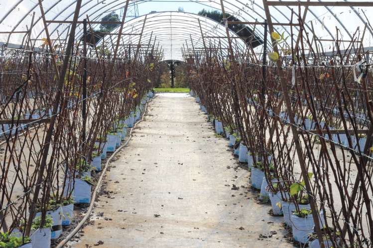 162 Pukeatua Road Maungatapere_19