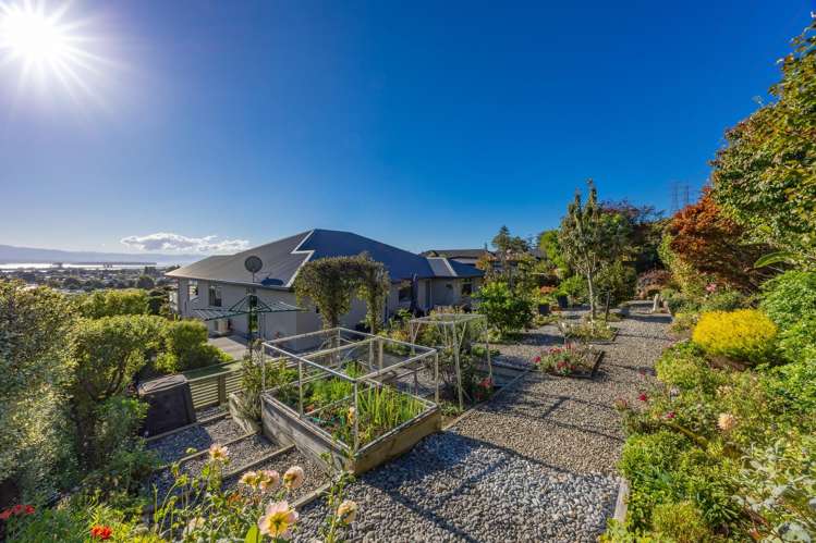 50 Somerset Terrace Stoke_25