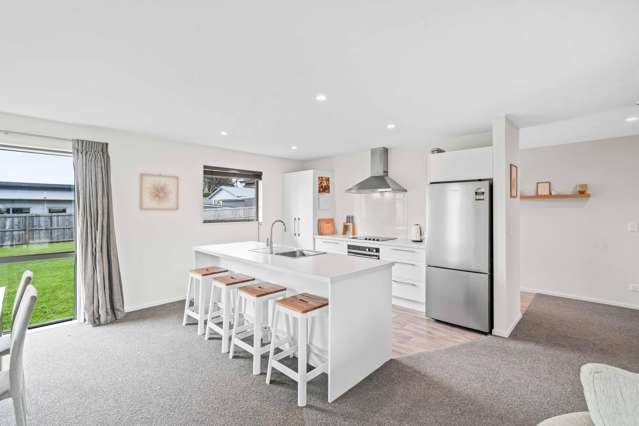 17a Normanby Street Rakaia_1