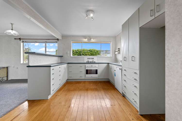 388 Thames Street Morrinsville_11