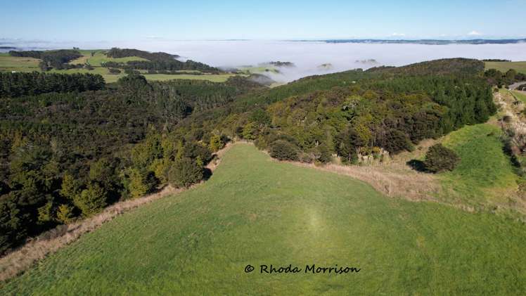 986 Tinopai Road Matakohe_81