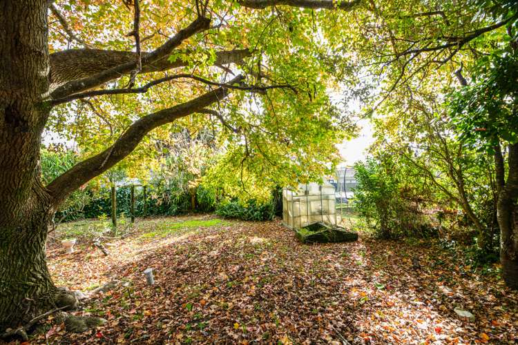 98 Wharf Road Te Atatu Peninsula_3