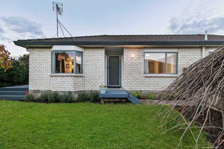 199h Captain Springs Road Onehunga_16