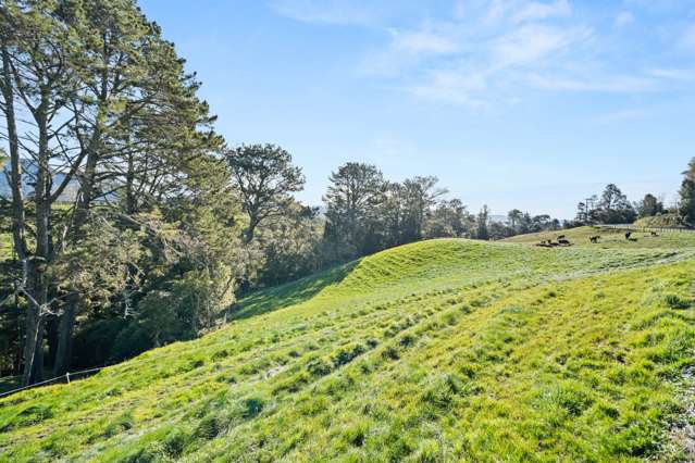 686 Wright Road Aongatete_3