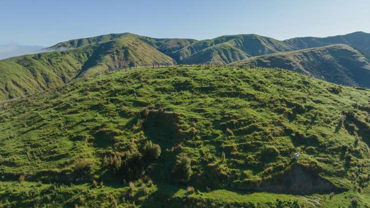 1311 Pahiatua Pongaroa Road Pahiatua_9