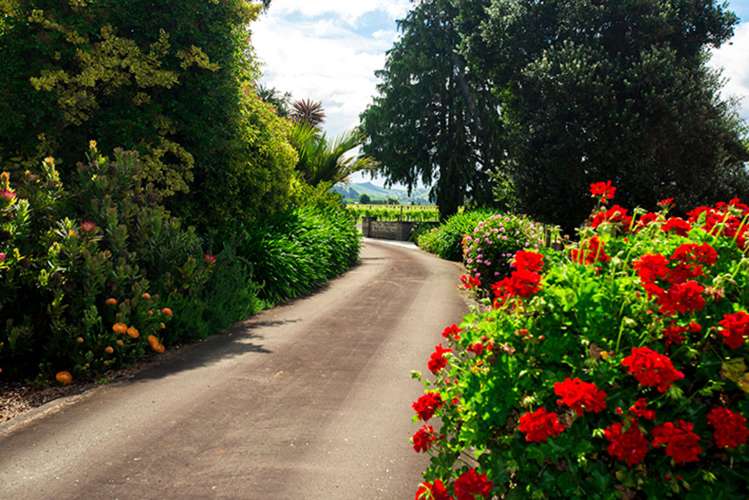 42 Wharekopae Road Patutahi_22