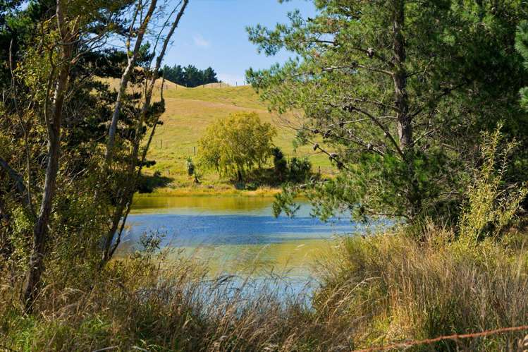 317 Caseys Road Blind River_32