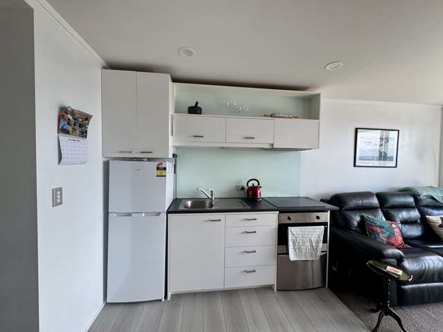 53 Cook Street Auckland City_1