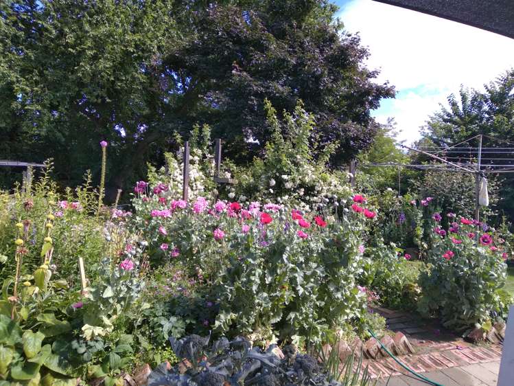 224 Union Street Milton_22