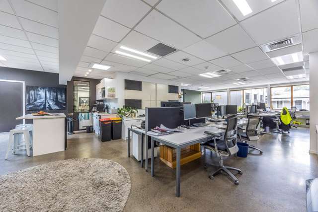 37-39 Ireland Street Freemans Bay_3