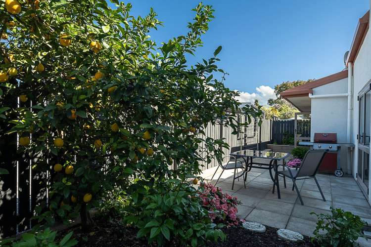 70B Muller Road Blenheim_20