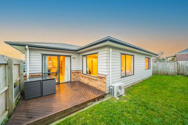 22b Vine Street Mangere East_1