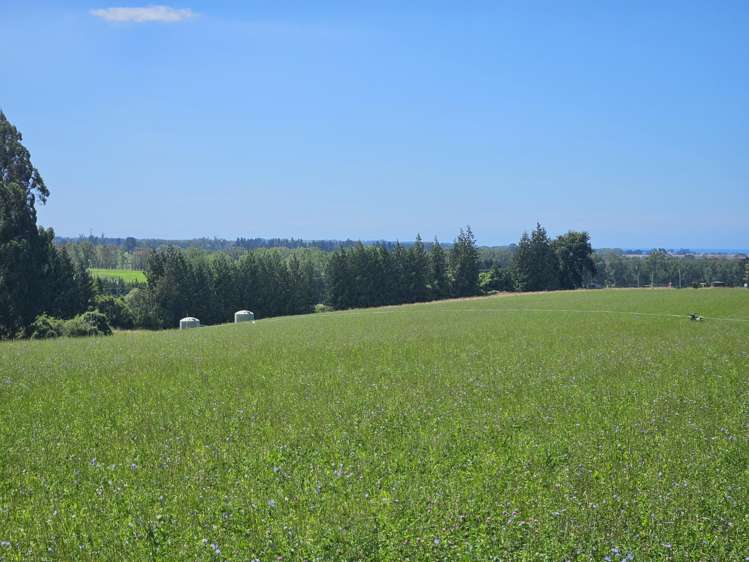 Lot 2 Brownleas Road Waimate_14