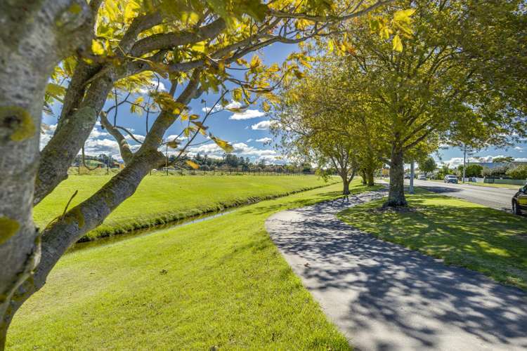 329 Westminster Avenue Tamatea_24