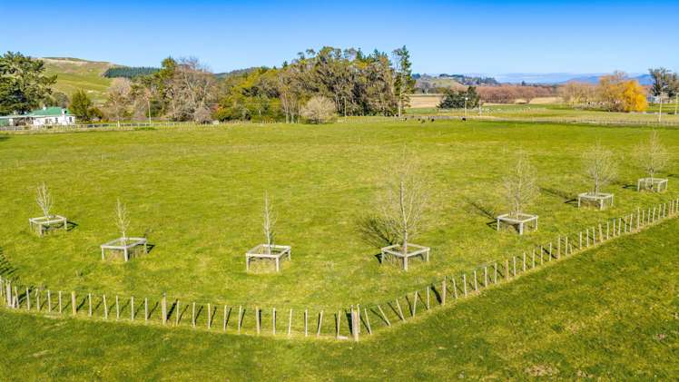 Lot Lot 1 & 2,/221 Tapairu Road Waipawa_4