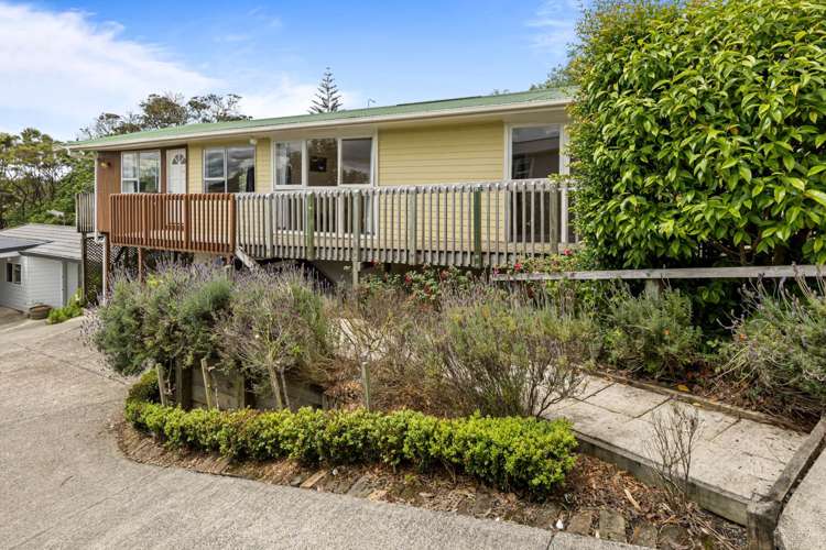 17 Seaview Road Glenfield_6