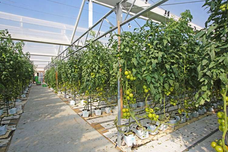 66 Marae O Rehia Road Waiuku_19