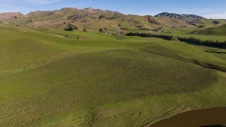 285 Grassmere Road Lake Grassmere_32