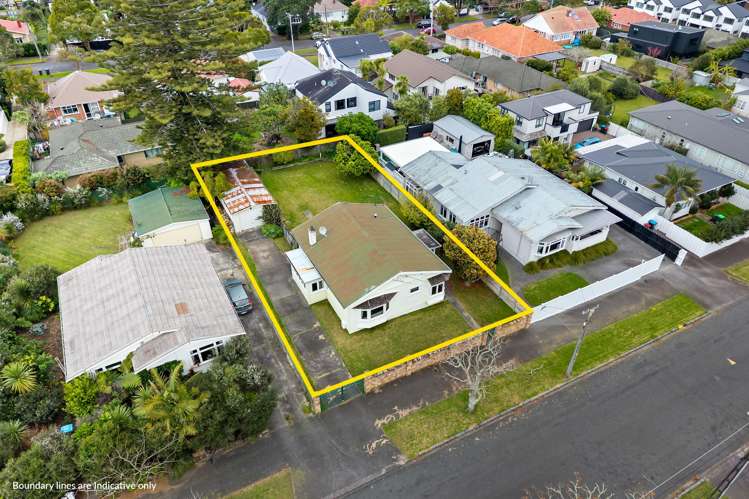 40 Miller Street Point Chevalier_17