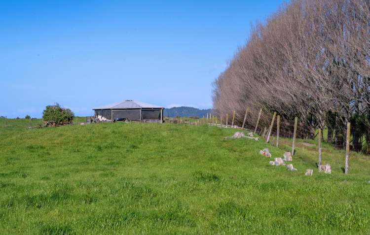 206B Thornton Road Thornton_4