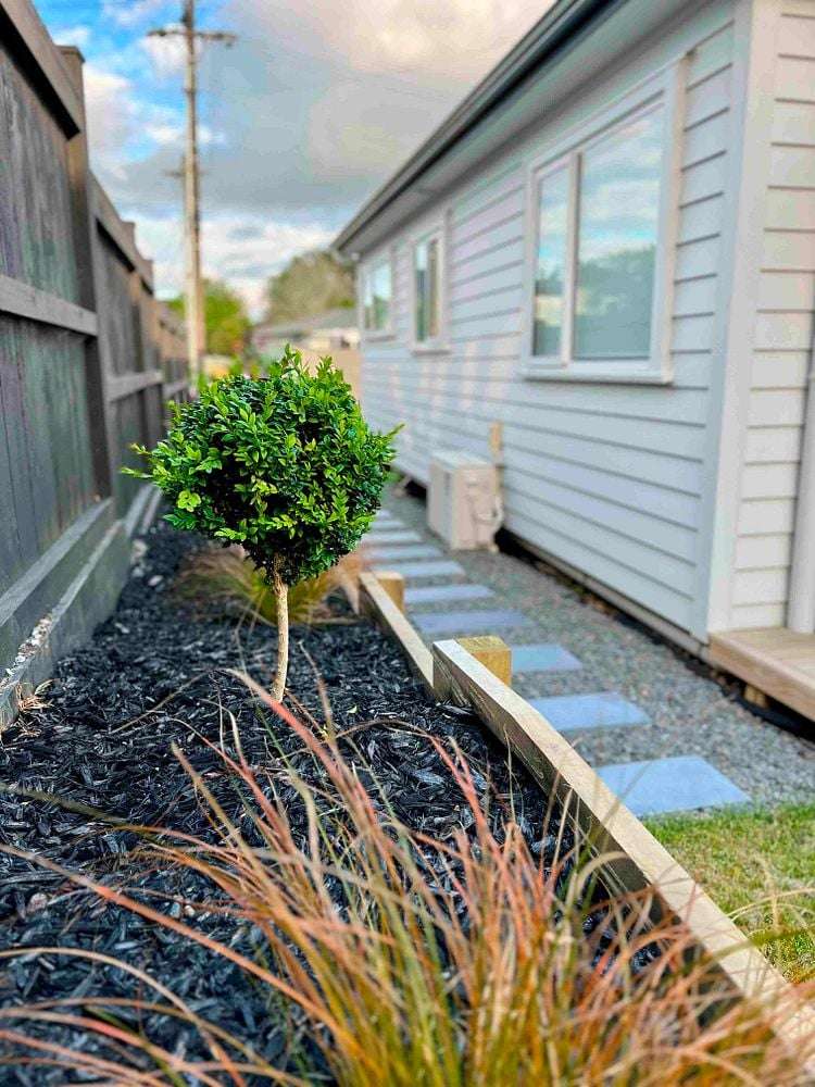 7 Bledisloe Street Cockle Bay_10