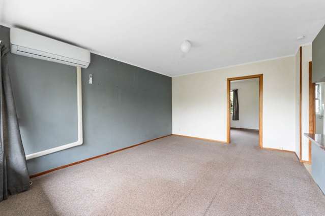 3/43b Milton Road Mt Eden_1