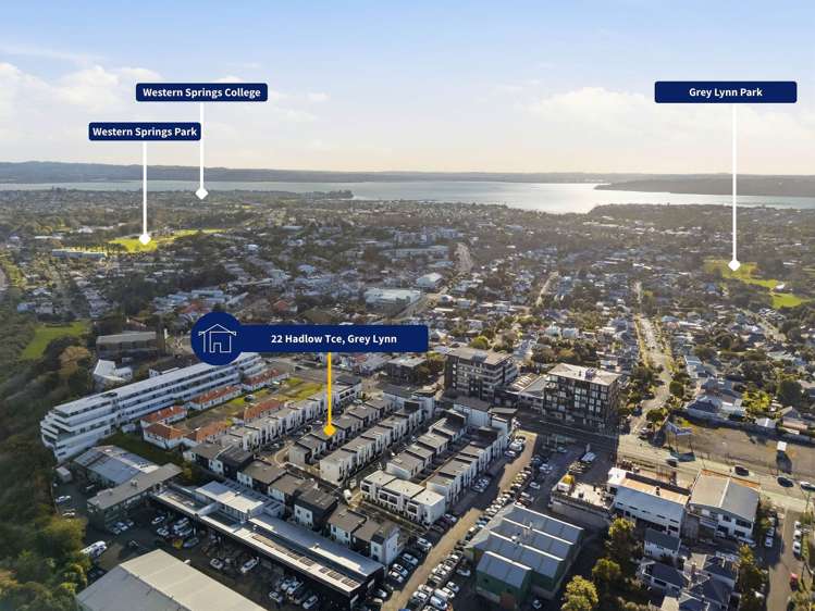 22 Hadlow Terrace Grey Lynn_15