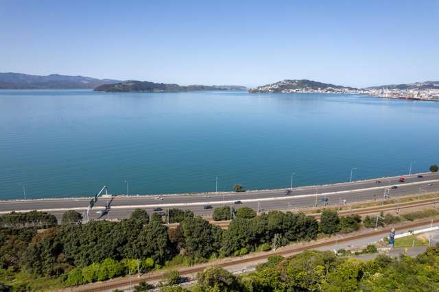 22 Sovereign Point Kaiwharawhara_2