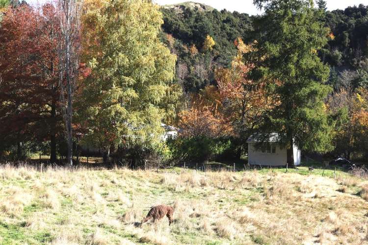 1719 Inland Road Lyford_20