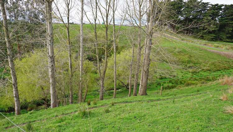 120 Heatherlea West Road Levin_19