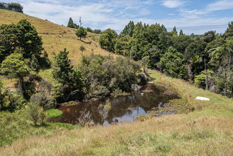 121 Gomez Road Hikurangi_16