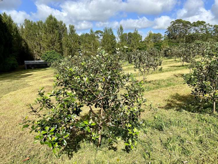 1244 State Highway 10 Kerikeri_19