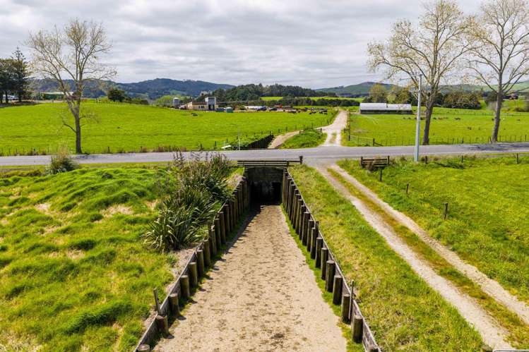 Mangakahia Road Titoki_25