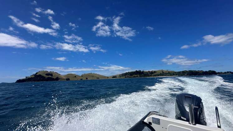 190 Pacific Ocean, Slipper Island (Whakahua) Thames_86