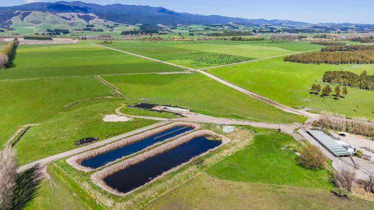 1807 Kahutara Road Kahutara_2