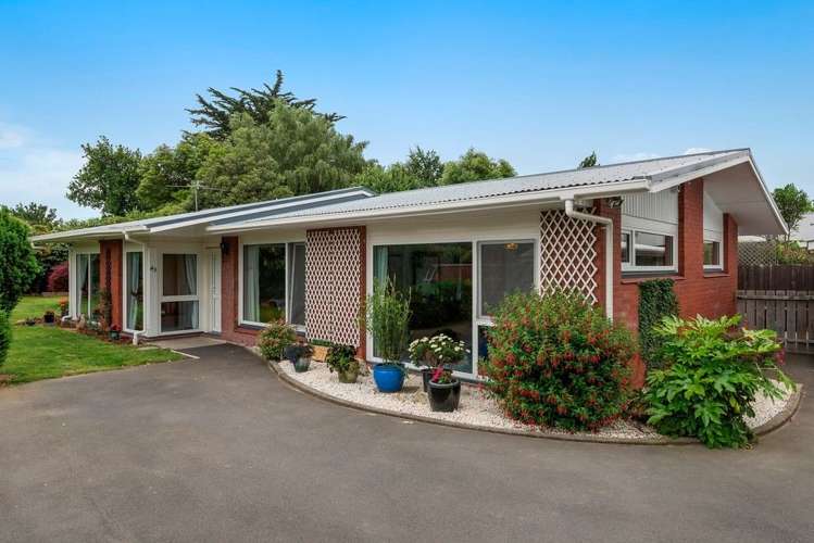 43 Grange Street Hillsborough_16