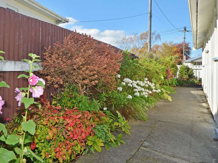 11 Lansdowne Crescent Masterton_5