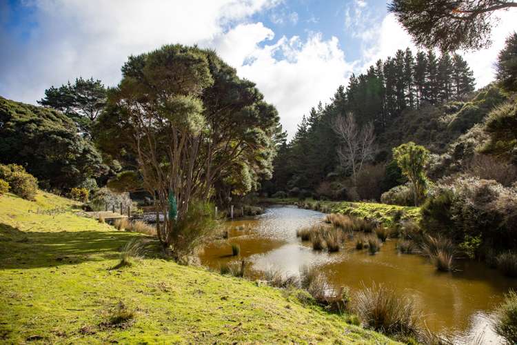 200 Parkvale Road Wilton_27