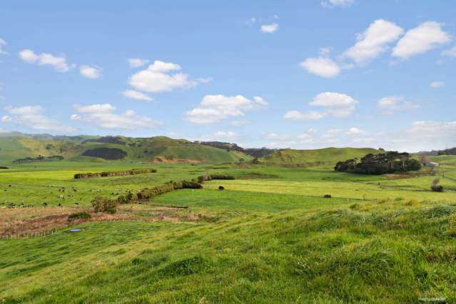 116 West Coast Road Awhitu_1