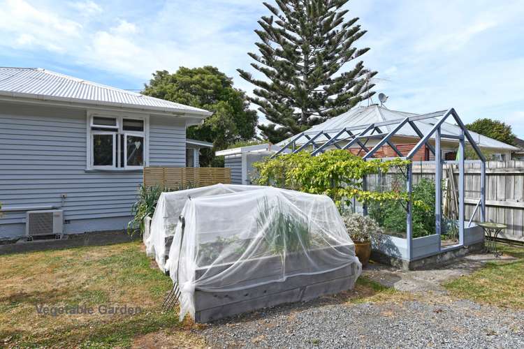 31 Owen Street Belmont_5