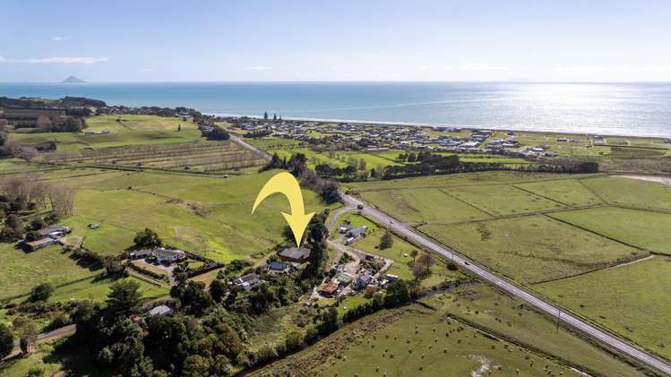 15 Dunlop Road Waiotahe_43