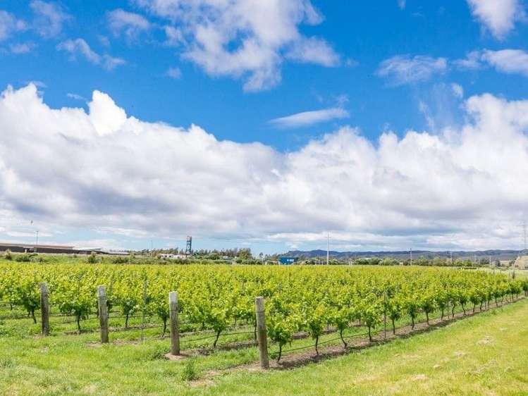 3516 State Highway 1 Riverlands_11