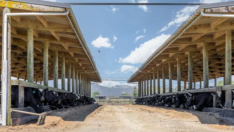 591 / 619 Waiuku-Otaua Road Waiuku_10