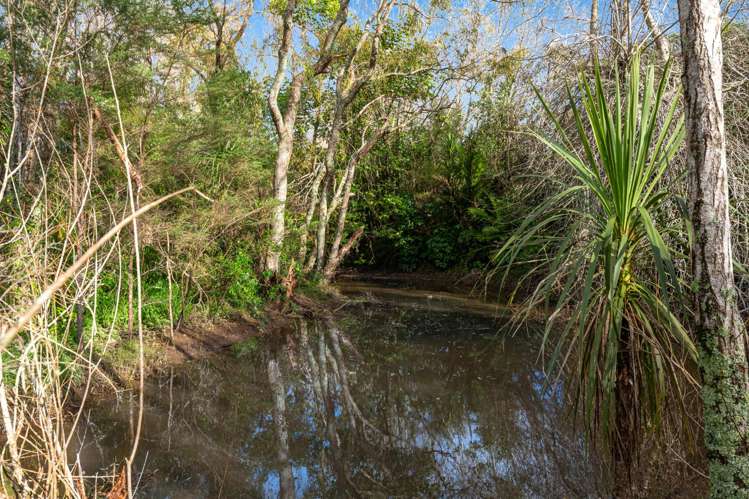 11 Pineview Lane Helensville_38