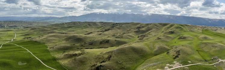 Corrigall Road Chatto Creek_6